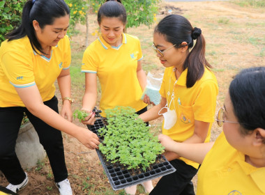 Big Cleaning Day ครั้งที่ 2 Image 7